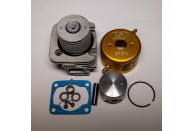 ESP CHAMPIONSHIP PORTED G290PUM 29cc 36mm Watercooled Cylinder Kit w/ Piston Mod | Zenoah Marine Engines | Zenoah Marine Engine Parts  | Engine Hopups & Accessories