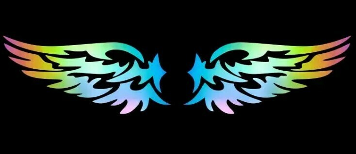 Waterproof Wings Decal Large x 2
