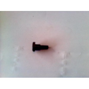 CLUTCH SHOE BOLT  XRC ONLY 1PCE