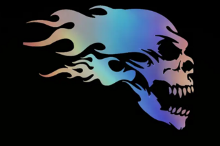 Water Proof Flame Skull Vinyl