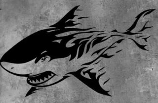 Waterproof Shark Decal