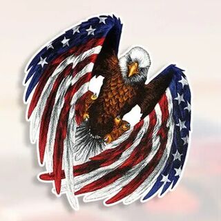 Waterproof Flag Eagle Decal