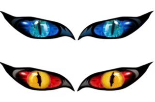 Animal Eyes Vinyl Decal 1 x Pair