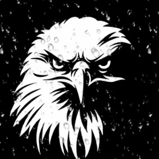 White Eagle Head Waterproof Decal